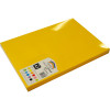 Rainbow Spectrum Board A3 220 gsm Gold 100 Sheets