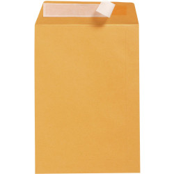 Cumberland Plain Envelope Pocket B4 Strip Seal Gold Box Of 250