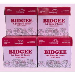 Bidgee A4 White Copy and Laser Paper - Box of 5 Reams